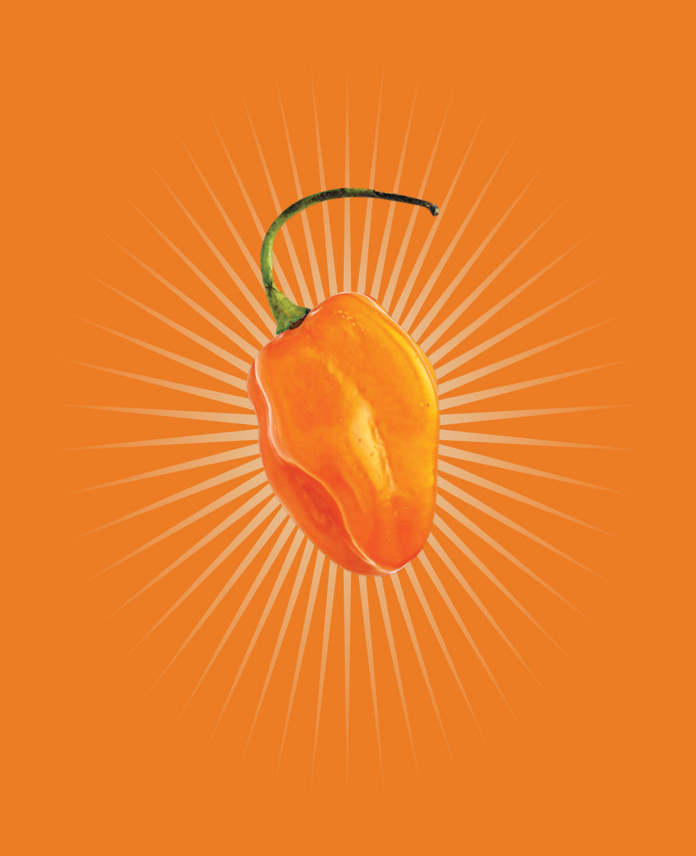 Orange Habanero